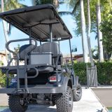 ICON_Gas_Golf_Cart_G40L_12-768x528