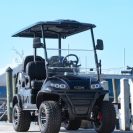 ICON_Gas_Golf_Cart_G40L_21-768x528