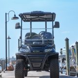 ICON_Gas_Golf_Cart_G40L_22-768x528