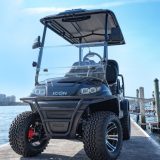 ICON_Gas_Golf_Cart_G40L_23-768x528